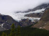 Crowfoot Glacier in Banff National Park