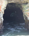 Sea Cave near Point Arena