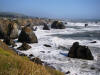 Sea stacks north of Bodega Bay, California