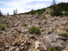 Debris field from 1925 Gros Ventre Avalanche, Wyoming