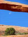 Moon and Landscape Arch, Arches National Park