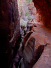Narrows along Observation Point Trail, Zion National Park, Utah