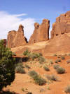 Fin at Arches National Park (Park Ave)