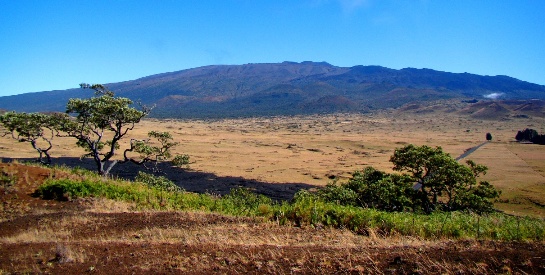 Mauna Loa from Pu'u Huluhulu (Saddle Road)