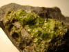 Close up of olivine crystals in basalt