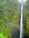 DSC01239 Akaka Falls.jpg (296925 bytes)