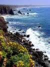 Wave cut cliff