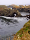 Sea arch