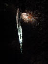 Icicle in Skull Cave