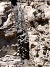 Mafic dike in Pine Creek Canyon