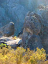 Eroded rhyolite boulders at Pinnacles