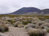 Cinder cone in Mojave National Scenic Preserve